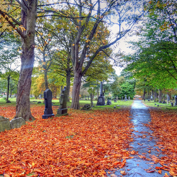 Linthorpe Nature Reserve - Digital Treasure Hunt - Huntee